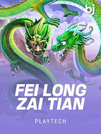 Fei Long Zai Tianpng game icon